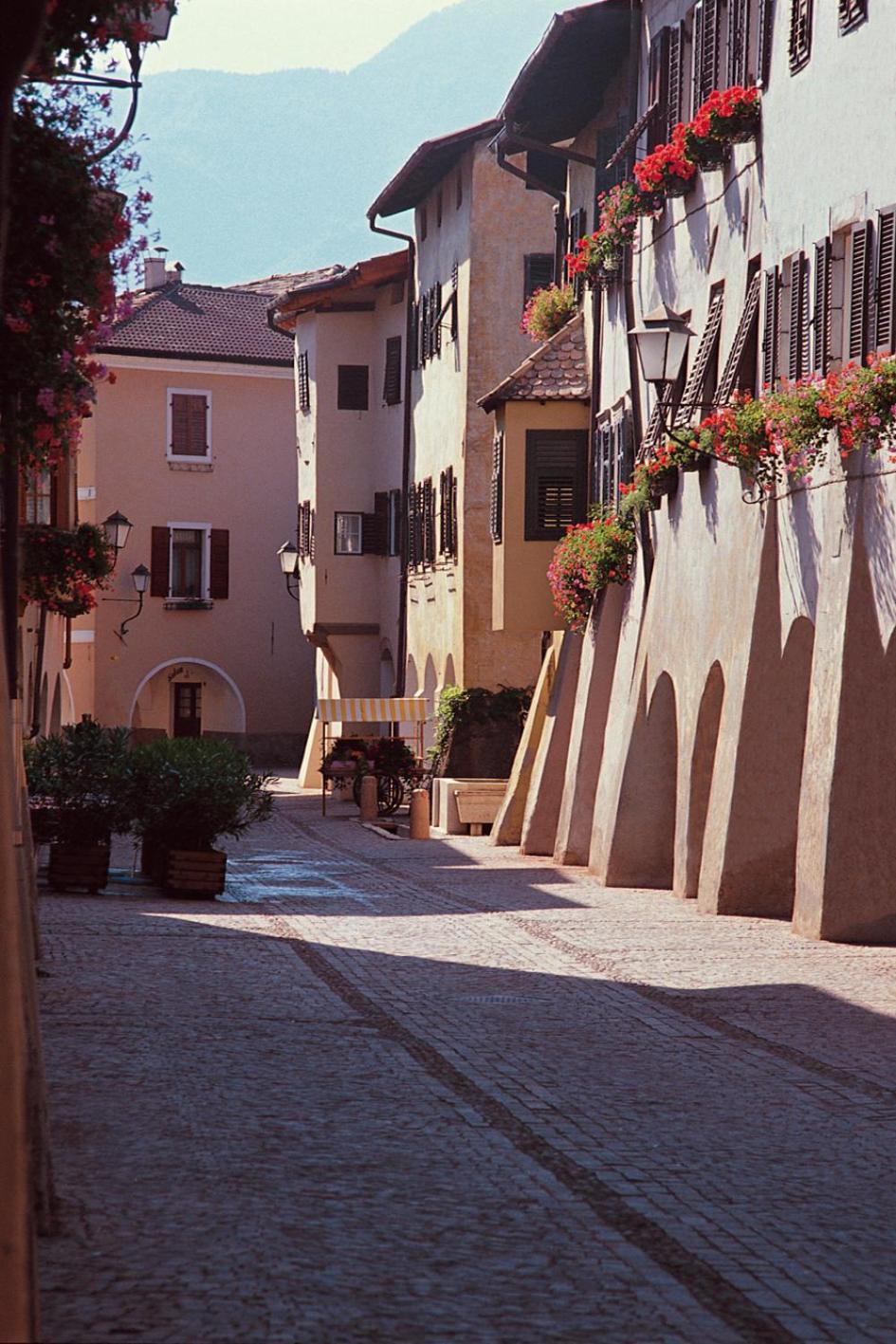 Hotel Andreas Hofer Egna Exterior photo